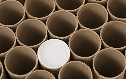 MagicWater Supply 2 x 18 Inch Kraft Mailing Tubes with End Caps - 12 Pack