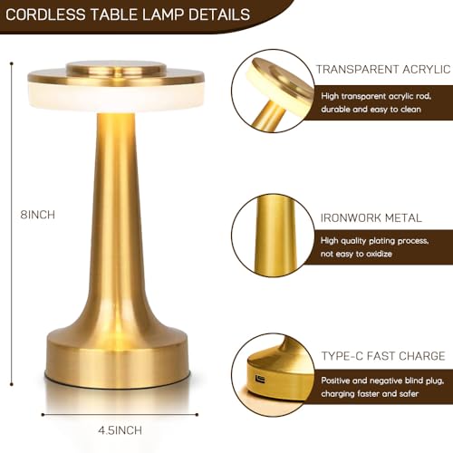 JHPGEOE Champagne Gold Cordless Metal Desk Lamp with Touch Control & Dimmable LED