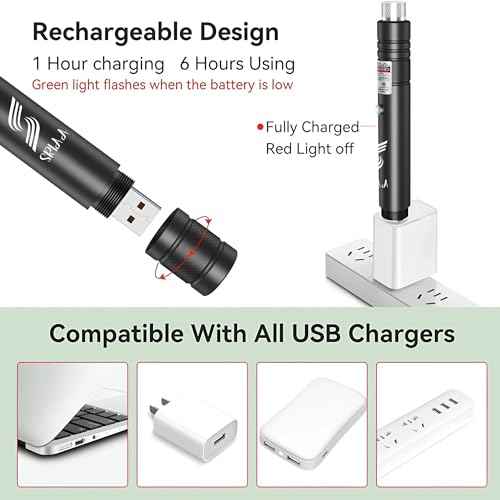 2 Pack Green and Red USB Rechargeable Presentation Pointer ? Perfect for Presentations, Classroom, and Conference Use