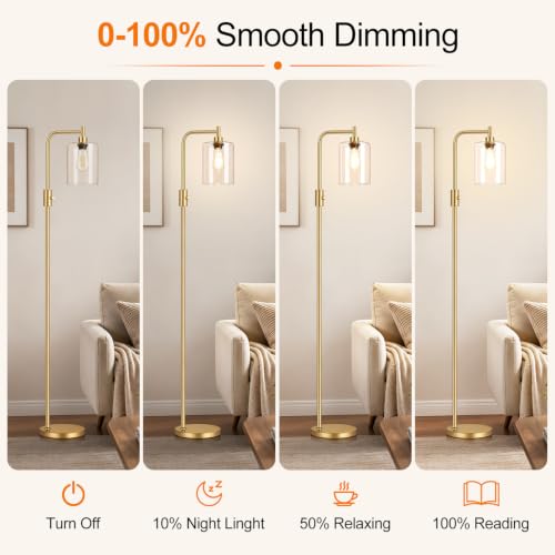 Yemela Clear Glass-Gold Dimmable Floor Lamp with 900LM LED Bulb, Modern Arc Standing Light
