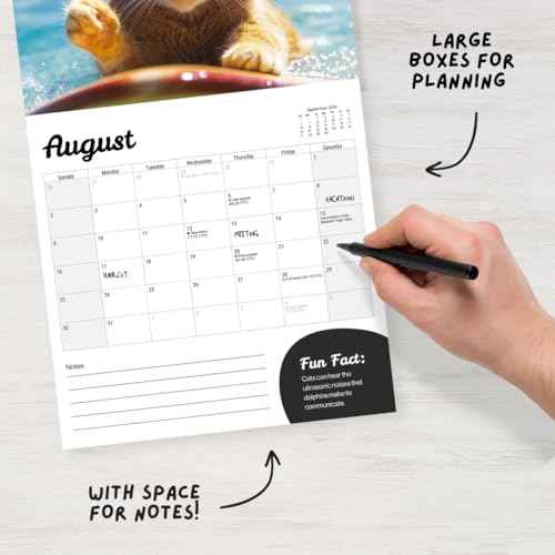 Cat Calendar 2026 - Large 12 Month 2026 Wall Calendar - Month to View Funny Cat Wall Planner Made by Fun Pets