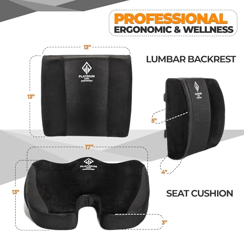 Ergonomic Memory Foam Lumbar & Seat Cushion Back,Tailbone Pain Relief
