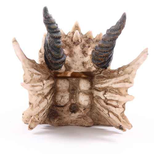 Puckator DRG186 Dragon Skull Money Box 19 x 11 x 11 cm, Mixed, Height 11cm Width 11cm Length 19cm Slot 3.5cm
