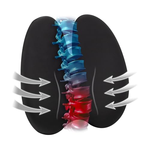 Mind Reader Lumbar Support Pillow with Air-Cloud Technology, Office Chair Back Cushion, Memory Foam, Black