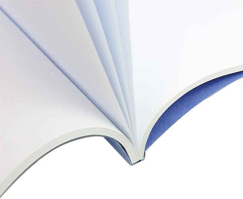 RAYSON TBC2346-100BL-US Thermal Binding Covers, Letter Size Blue Binding Cover, 1/16in, 1/8in, 3/16in, 1/4in Multi-Size Pack of 100