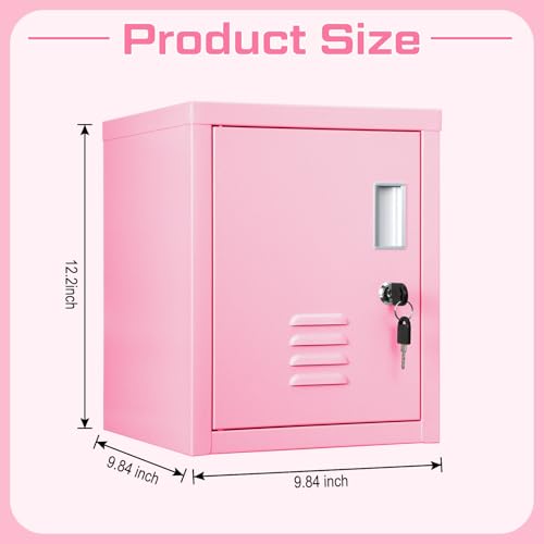 Suzile Lockable Storage Cabinet Metal Steel Organizer Lockers for