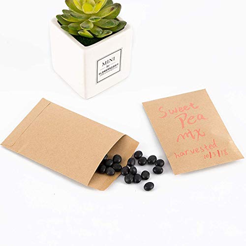 Peony Man 200 Pack 2.25x3.5 Inch Kraft Self-Adhesive Envelopes for Seeds Coins Stamps
