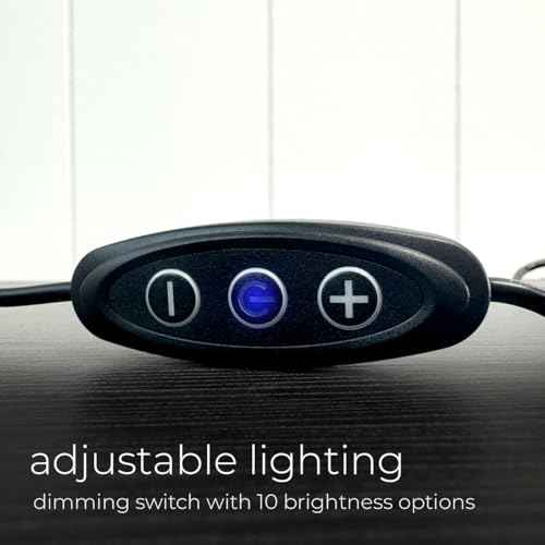 FilmPix Light Display ? Dimmable LED Lamp & Nightlight for Home & Office D?cor ? USB-C Compatible ? Easily Insert & Remove FilmPix¢â Photo Inserts (SOLD SEPARATELY) for a Personalized Light Experience