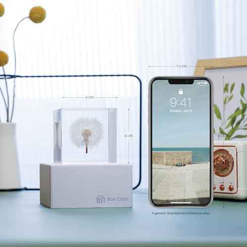 Acrylic Cube with Real Dandelion Inside 6cm Cube White Aesthetic Plant Shelf Decor Desk Decor Paperweight for Girlfriend