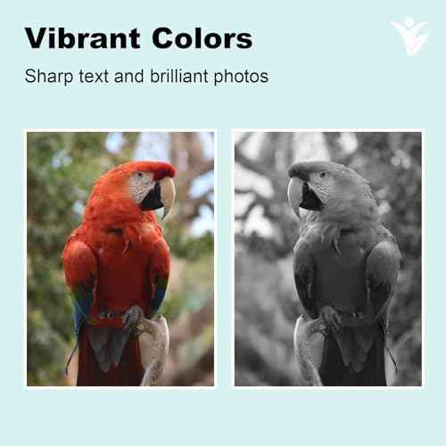 220XL Ink Cartridges Remanufactured 220XL Ink Replacement for Epson 220XL Ink Cartridges Use with Workforce WF-2750 WF-2760 WF-2660 WF-2650 WF-2630 XP-320 XP-420 XP-424 (10 Pack)