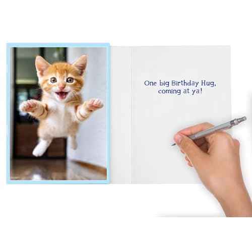 Funny Cat Birthday Hug Card for Women, Men, Coworkers and Anyone and All Ages Ready to Party