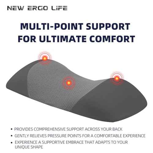 Lumbar Support Pillow, Memory Foam Cushion for Back Pain Relief, Ergonomic Waist Support for Side & Back Sleepers, Removable & Washable Cover, Ideal for Home, Office, and Car (Dark Gray)