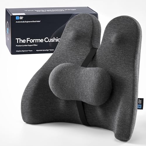 Lumbar Support Pillow for Office Chair - Lower Back Pain Relief Cushion with Adjustable SpineAlign¢â Bolster, Memory Foam Pillow for Car, Couch, Gaming Seats - Dual Straps, Dark Grey