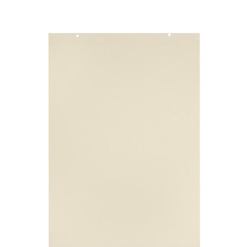 School Smart Jumbo Manila Tag Unruled Chart Paper, 36 x 24 Inches, 100 Sheets