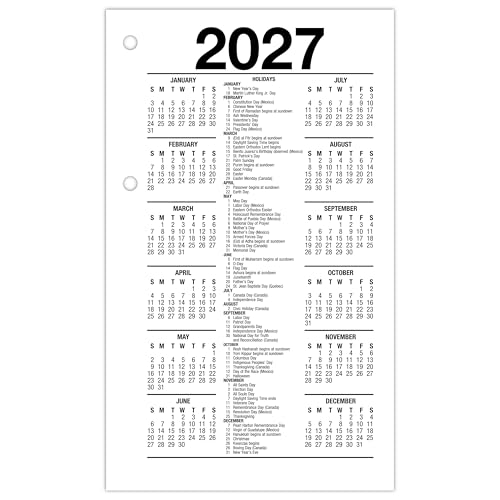 AT-A-GLANCE 2027 Desk Calendar Refill for E1700 Base, Daily Planner, 3.5 x 6 inches, Standard, Loose-Leaf, Variation 2027