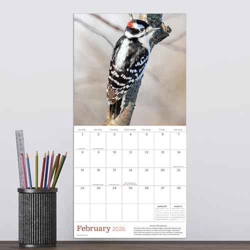 TF Publishing 2026 Backyard Birds Mini Calendar with Monthly Grids for Appointments and Scheduling - Vertical Small Wall Calendar 2026 with Premium Gloss Paper for Home and Office Organization - 7x7in