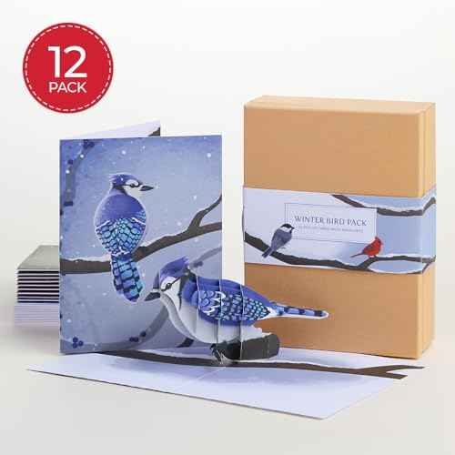 Lovepop Winter Bird Box Set (Assorted 12-Pack) Pop-Up Card for Her and Him - 3D Holiday Greeting Cards for Boys, Girls, Men, Women - 4.5" x 5.9" Paperpop Card - Envelope Included