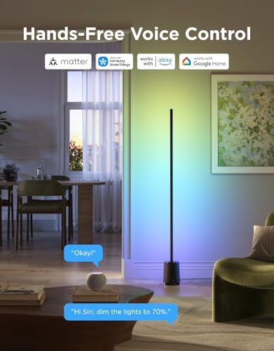 Black Govee Smart RGBIC Floor Lamp 3 Lite Corner Lamp for Living Room