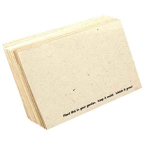 Handmade Seeded Plantable Recycled Note Paper 100 Sheets Each 6 x 4 Inches (2-Pack)