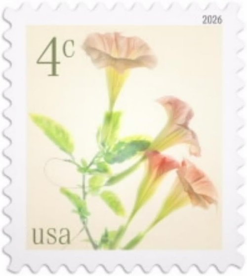 Angel's Trumpets 2026 4-Cent Stamps - Nature Flowers Definitive Mail-Use | Sheet of 20
