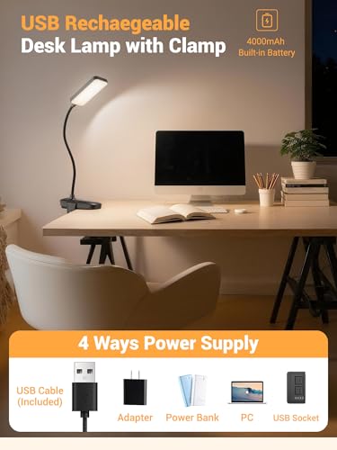 ReinHoo Black Clip-On Rechargeable Desk Lamp with 45 Lighting Modes