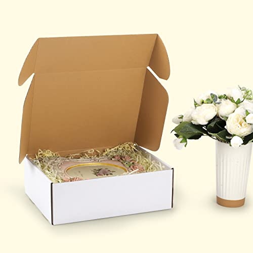 HORLIMER 12x9x4 Inch White Shipping Boxes Set of 20, Corrugated Cardboard Mailers