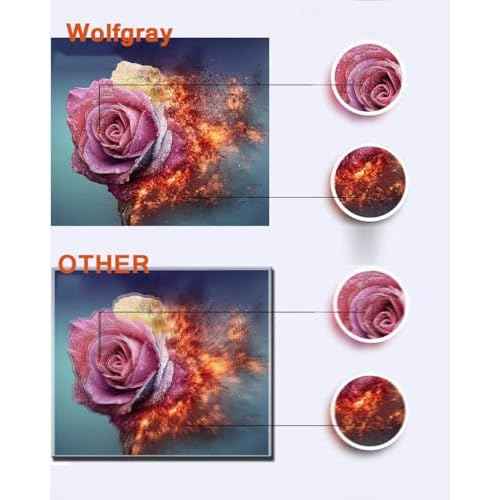 Wolfgray LC103XL Color Ink Cartridges 18 Pack (6C+6M+6Y) - Compatible with Brother LC101 LC103 XL LC 103 LC103C LC103M LC103Y Ink for MFC-J470DW MFC-J870DW Printer