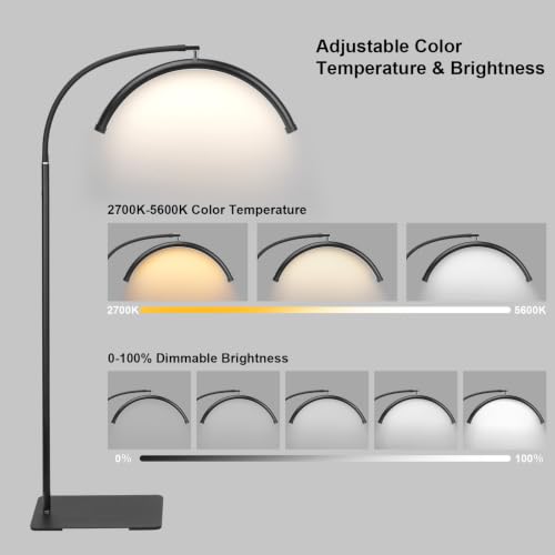 Black Half Moon LED Floor Lamp for Lash, Tattoo & Beauty Work - Shadow-Free, Dimmable, Remote Control