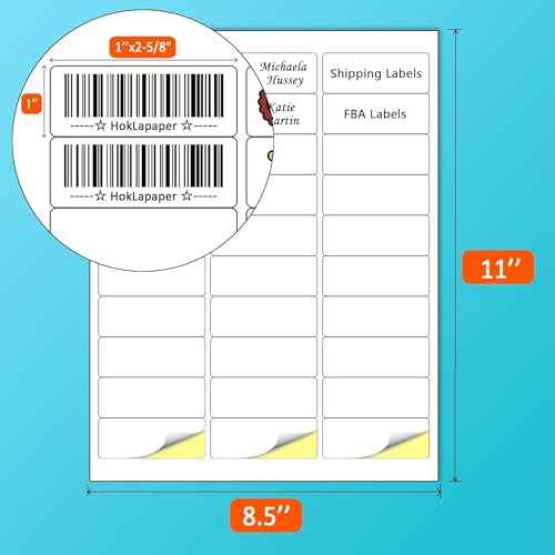 HokLa Paper Mailing Labels, 3000 (100 Sheets), White, 1" x 2-5/8", Laser/Inkjet Printer, Permanent Adhesive