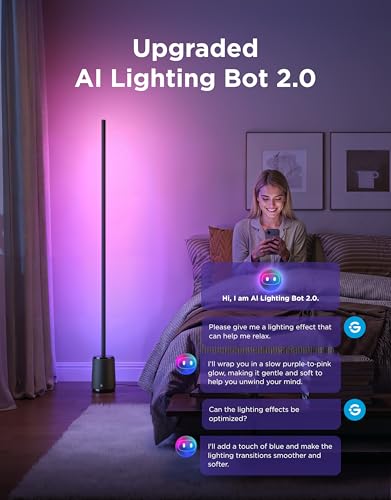 Black Govee Smart RGBIC Floor Lamp 3 Lite Corner Lamp for Living Room