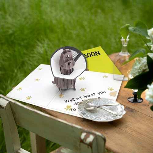Funny Pop Up Get Well Soon Card, Humorous 3D Speedy Surgery Recovery Card for Friends Patient, Lovely Sympathy Cards for Men Women, At Least You Don't Have to Wear A Cone, Pug Cone Card