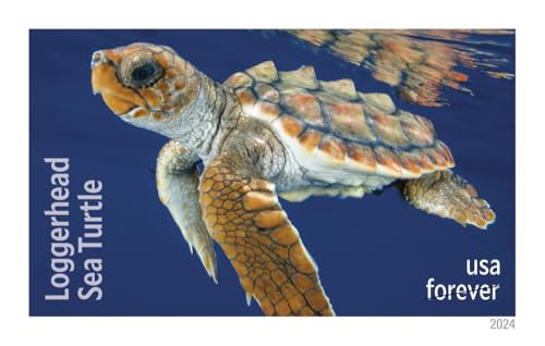 Protect Sea Turtles 2024 Commemorative Stamp Sheet of 18 - US Postal Service