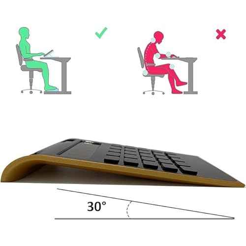 Benkaim Solar Gold Standard Function 10-Digit Desktop Calculator for Office, Home