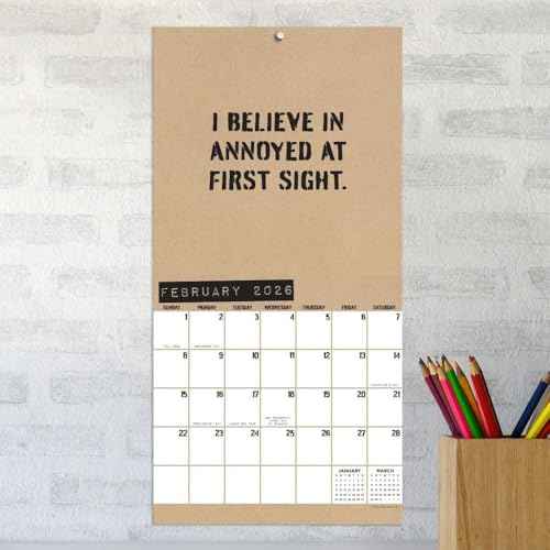 TF Publishing 2026 Anti-Affirmations & Sarcasm Mini Calendar w/Monthly Grids for Appointments/Scheduling - Vertical Small Wall Calendar 2026 w/Matte Paper for Home and Office Organization - 7x7in