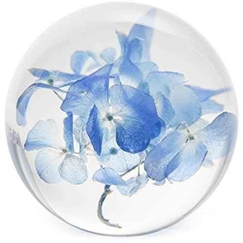 FloraCulture Paperweight Hydrangea