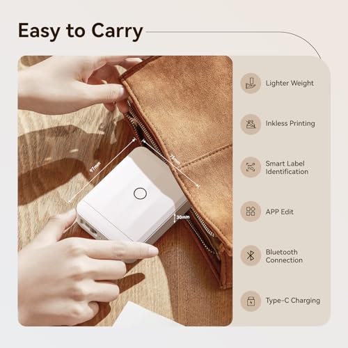 NIIMBOT Label Maker Machine with Tape, D110 New Version Mini Portable Bluetooth Thermal Printer, Sticker Maker Label Maker for Home Office Organization School, Light Gray