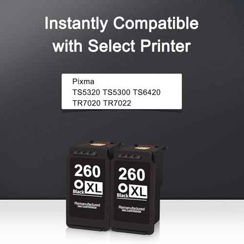 260XL Black Ink Cartridges Combo Pack Replacement for Canon PG-260 PG-260XL 260 XL Ink Work with Pixma TS5320 TS5300 TS6420 TR7020 TR7022 (2 Black)