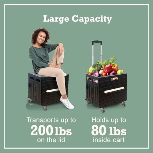 Inspired Living Collapsible Folding Utility Cart, Heavy-Duty Rolling Crate with 360¡Æ Wheels, Telescoping Handle, Hidden Lid, Holds 200 Lbs, Black