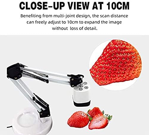 8MP Document Camera for Teachers with Auto-Focus & LED Light for Distance Learning