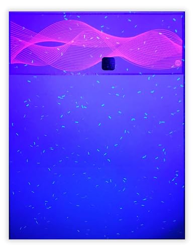 EZ Checks High Security Check Paper 250 Sheets with Hologram & 20 Features - Check at Top, QuickBooks Compatible (Blue/Maroon)