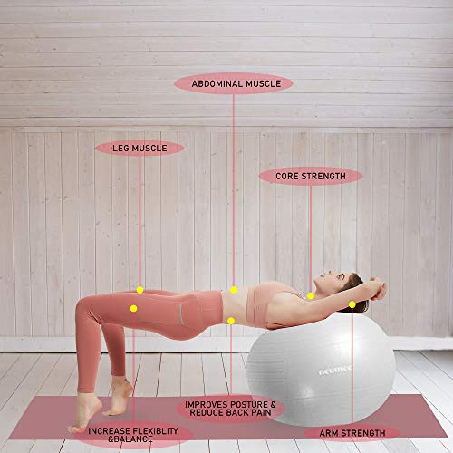 NEUMEE 65cm Yoga Ball Chair with 2 Resistance Bands - Grey, Stability Base, Posture & Core