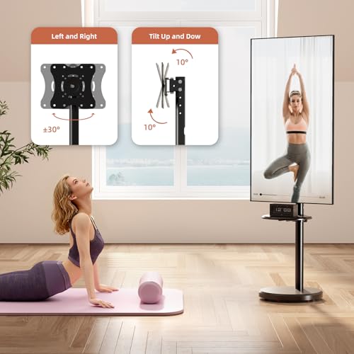 Small Mobile TV Stand for Most 10-48 Inches