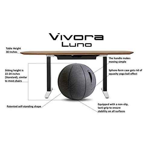 Vivora Luno Premium Ergonomic Sitting Ball Chair, Felt, Standard Size (22 to 24 inches), for Home Offices, Balance Training, Yoga Ball, Posture Improvement