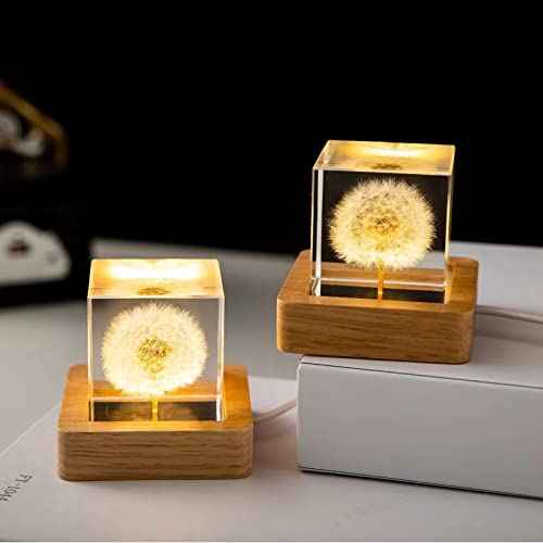 DESHINTKE Real Dandelion Glowing Cube Eternal Flower Paperweight with Luminous Base (Cube)