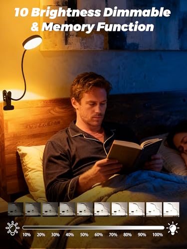 ReinHoo Black Clip-On RGB Desk Lamp with Clamp, 10 Colors & Brightness Levels