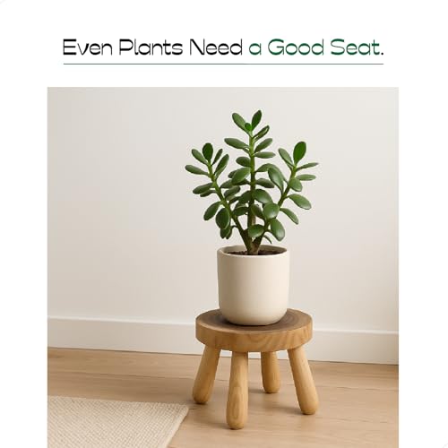 7 Inch Solid Wood Step Stool 2 Pack, Natural Growth Ring Wood for Adults, Kids and Toddlers, Simple Minimalist Riser for Plants and Home D?cor