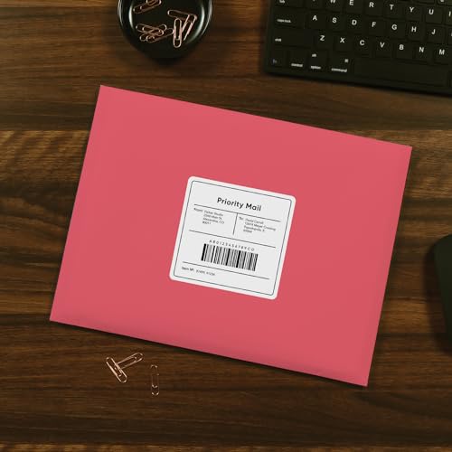 Red 9 x 12 Clasp Envelopes with Gummed Closure, Pack of 10