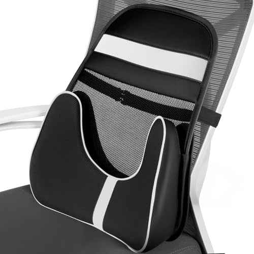 FLORICH Double Layer Breathable Mesh Lumbar Support Ergonomic Leather Lumbar Support Pillow with 3D Mesh Back Support and Adjustable Strap for CarSeat & Office Chair
