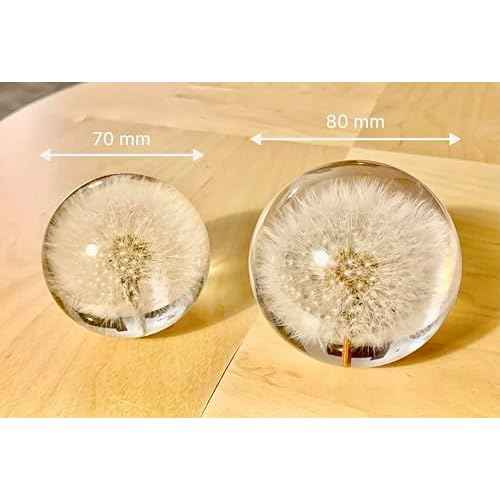Real Dandelion Paperweight - Home Decor Crystal Resin Ball 3.14in (80mm) - Clear Resin Dandelion Flower Globe for Special Days - Sphere Figurine Office Paperweight w/Flat Bottom