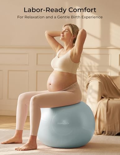 Momcozy Glacier Blue Pregnancy Yoga Ball Set with App Courses & Foot Pump